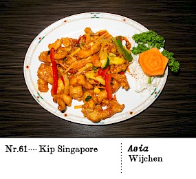 Nr. 61Kip Singapore Asia,Wijchen