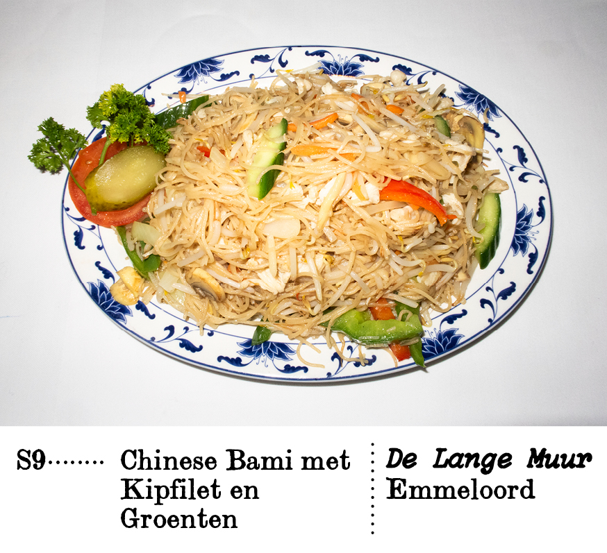 Nr. S9Chinese Bami met Kipfilet en Groenten De Lange Muur,Emmeloord